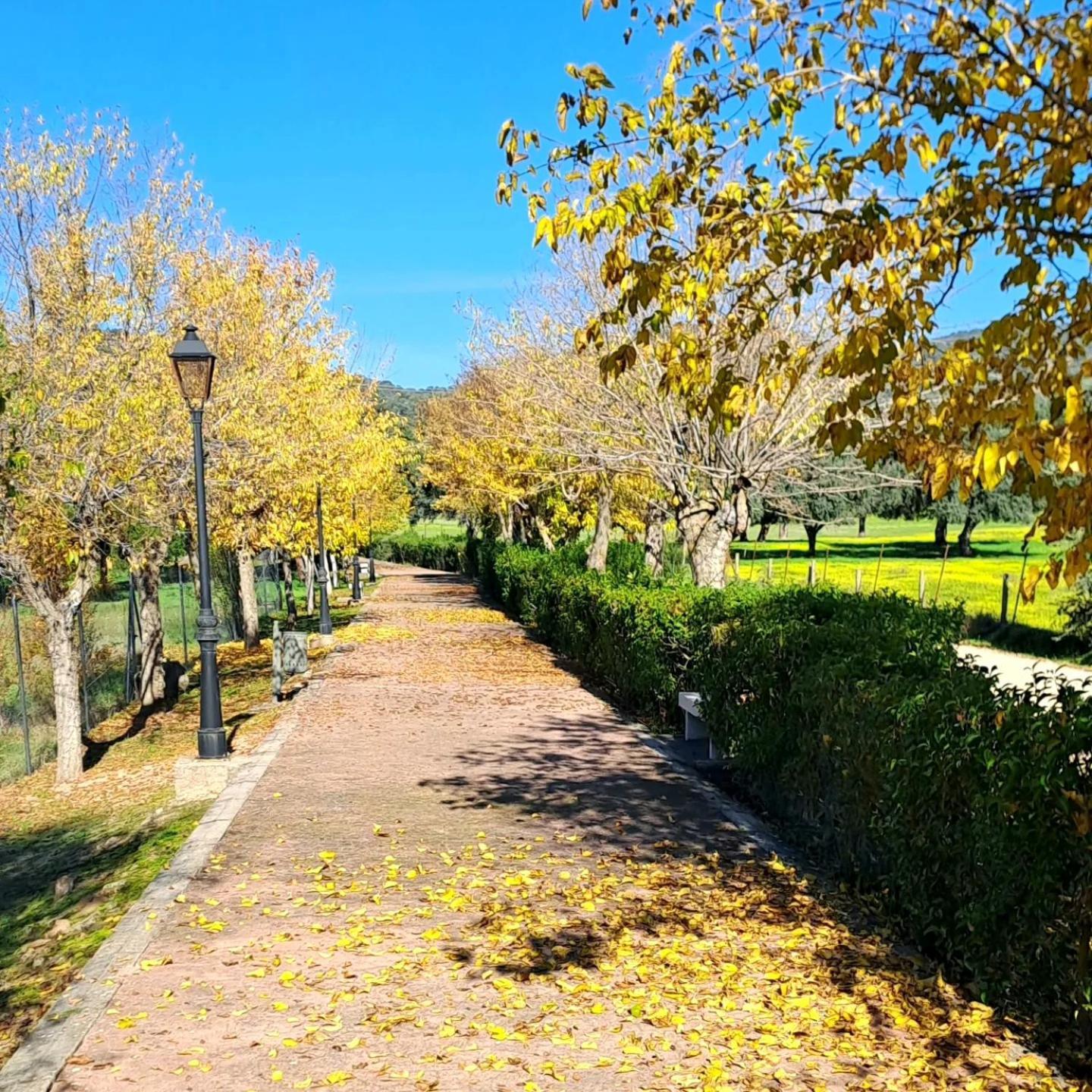 Casa El Frenazo Country house Garciotum
